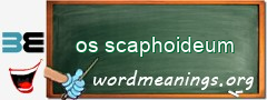 WordMeaning blackboard for os scaphoideum